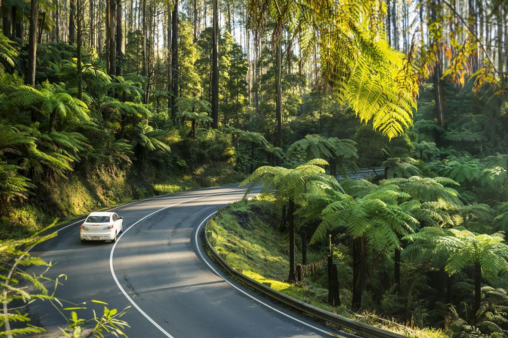 Lithgow Falls แมรีส์วิลล์ ภายนอก รูปภาพ